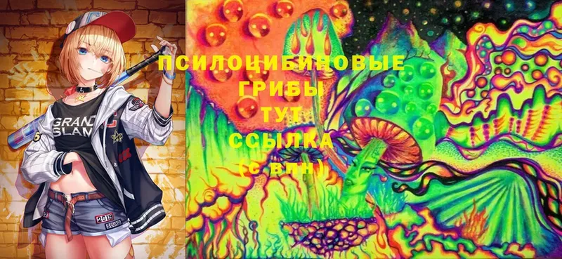 Псилоцибиновые грибы Cubensis  дарк нет состав  Сыктывкар  купить наркоту 