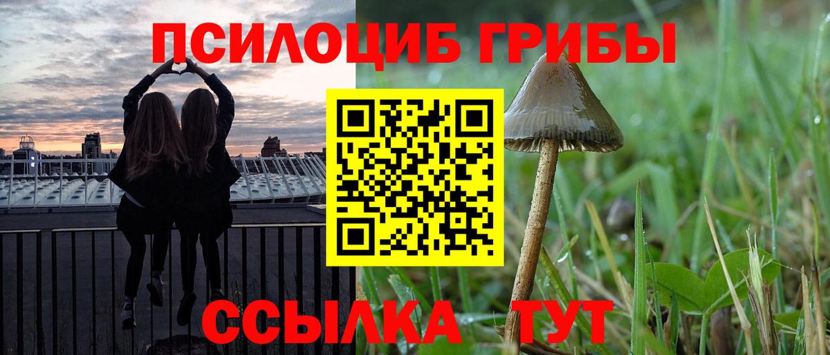 купить наркоту  Псилоцибиновые грибы GOLDEN TEACHER  Вход с VPN  Сыктывкар 