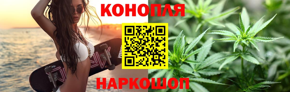 Бошки Шишки конопля Сыктывкар